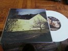 THE STORY SO FAR / MORGAN FOSTER 7 INCH THE WONDER YEARS NECK DEEP KNUCKLE PUCK