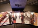 The Beatles in Mono Box Set [Vinyl LP]