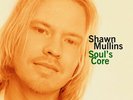 SHAWN MULLINS SOULS CORE LP VINYL NEW 2014 33RPM