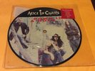 Alice in Chains Down in a Hole 7