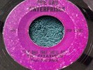 The Citations - The Day That She'll Go/Long Time Wanderin' 45 MA garage VG-