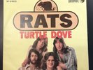 RATS - TURTLE DOVE / OXFORD DONNA   7