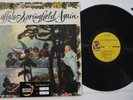 Buffalo Springfield – Again – Better Records Super Hot Stamper