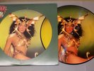 Vintage CHER picture disc lp TAKE ME HOME Casablanca 1979 die cut sleeve MINT/EX