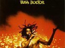 Peter Tosh - Bush Doctor, Reggae vinyl 33rpm, 12inch LP - Excellent condition