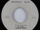 Reggae 45 HORACE ANDY Skylarking BONGO MAN HEAR
