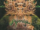Shpongle Codex 6 Vinyl (limited, 3xLP, mint)