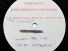 THE SHADED What's The Use With Pretending Trident acetate synth post-punk 45