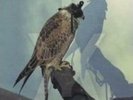 ICEAGE: YOU'RE NOTHING [LP vinyl]