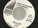 DOOWOP - BOBBY RICHARDSON & CREATIONS - THIS IS LOVE  -HEAR- 1961 DJ EMBER