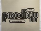 The Prodigy - Experience 2LP Vinyl Record [NEW/SEALED]