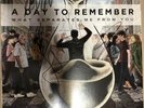 SIGNED What Separates Me from You by A Day to Remember vinyl