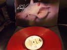 The Damned - Strawberries - 180g Red Vinyl LP Signed by Vanian, Sensible & Gray