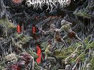 OUTER HEAVEN-REALMS OF ETERNAL DECAY VINYL LP NEW