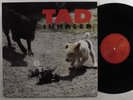 TAD Inhaler GIANT LP NM holland