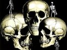 Skull Snaps - Vinyl LP Mr Bongo NEW
