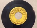 Elvis Presley Sun Records 45 #223 Mystery Train-I Forgot to Remember to Forget