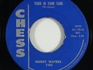 Muddy Waters 