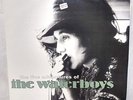 The Live Adventures of the Waterboys 3xVinyl LP Records 1998 Folk Rock NM/VG++