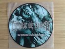 CRADLE OF FILTH - THE PRINCIPLE OF EVIL MADE FLESH - RARO LP 33 GIRI 12“ PICTURE