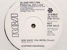 BLOOD HOLLINS 