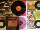 Dinosaur Jr.- Record Lot, Repulsion, J Mascis, Beyond, Little Fury Things