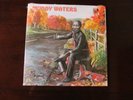 *MUDDY WATERS Chess Blues Master Series-1976,LP,Chess ?2ACMB-203,Gatefold-SEALED