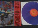 GUNS N ROSES - ALTERNATIVE APPETITE FOR DESTRUCTION - RARE 12
