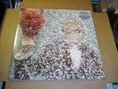 LP:  TY SEGALL - self titled s/t