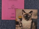 R-1054  PAUL McCARTNEY Coming Up FLEXI DISC Poland 1980 CAT