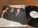 Stray Cats 