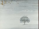 Genesis Wind & Wuthering Charisma Vinyl LP