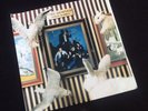 Vinyle 45 tours The Damned  White Rabbit   (1980)
