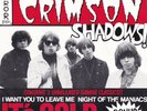 The Crimson Shadows 60's Garage Punk  It's cold + 2   1985