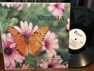 KOINONIA S/T ORIGINAL VG+ PRIVATE GRAIL BREAKS AOR XIAN PSYCH FUNK DRUMS