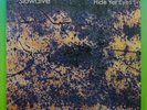 SLOWDIVE “Hide Yer Eyes” Vinyl LP MINT Shoegaze ???? My Bloody Valentine 90s NEW??