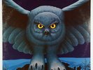 Rush - Fly By Night LP - Mercury VG+