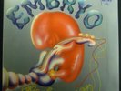 LP EMBRYO - rocksession, Brain 1036, nm