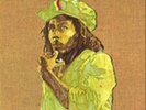 Bob Marley and The Wailers-Rastaman Vibration (UK IMPORT) Vinyl / 12