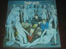 Zen rare '69 HOLLAND wild psych beat garage LP Hair on Decca mint- Outsiders Q65