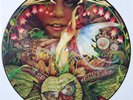 Spyro Gyra - Morning Dance - Promo Picture disc LP mit Wherehouse back