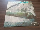 Death In June ?– Operation Hummingbird -  lp - coloured vinyl