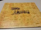 AMERICAN SPRING - SELF TITLED - UK, UAS 29363, POP, SOFT ROCK,  VINYL RECORD