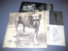 ALICE IN CHAINS - Alice In Chains 2xLP ORIGINAL 1995 gatefold columbia