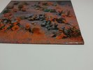 Liliput - Self-titled LP New Wave Rough 43
