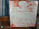 Mandy Morton Band Inside The Valley of Light (Banshee Ban 1013) orig autographed