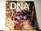 DNA LP A Taste of DNA 1981 Original Rough Trade arto lindsay Ikue Mori no wave