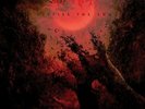 Suffocation - Despise The Sun (LP Reissue)