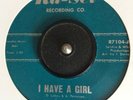 Northern Soul  45    *** The Magnetics *** I Have A Girl ***    Ra- Sel Pressing