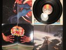 Touch Touch Self Titled Coliseum 20-20 Sound POSTER Mint Condition Record Vinyl